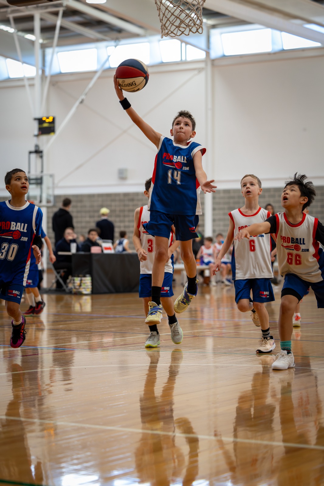 ProBall elite youth basketball training