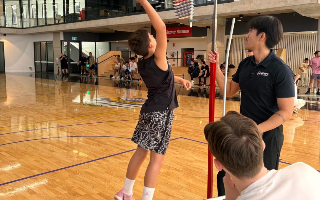 ProBall player training